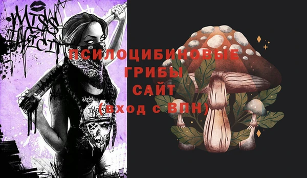 прущий лед Аркадак